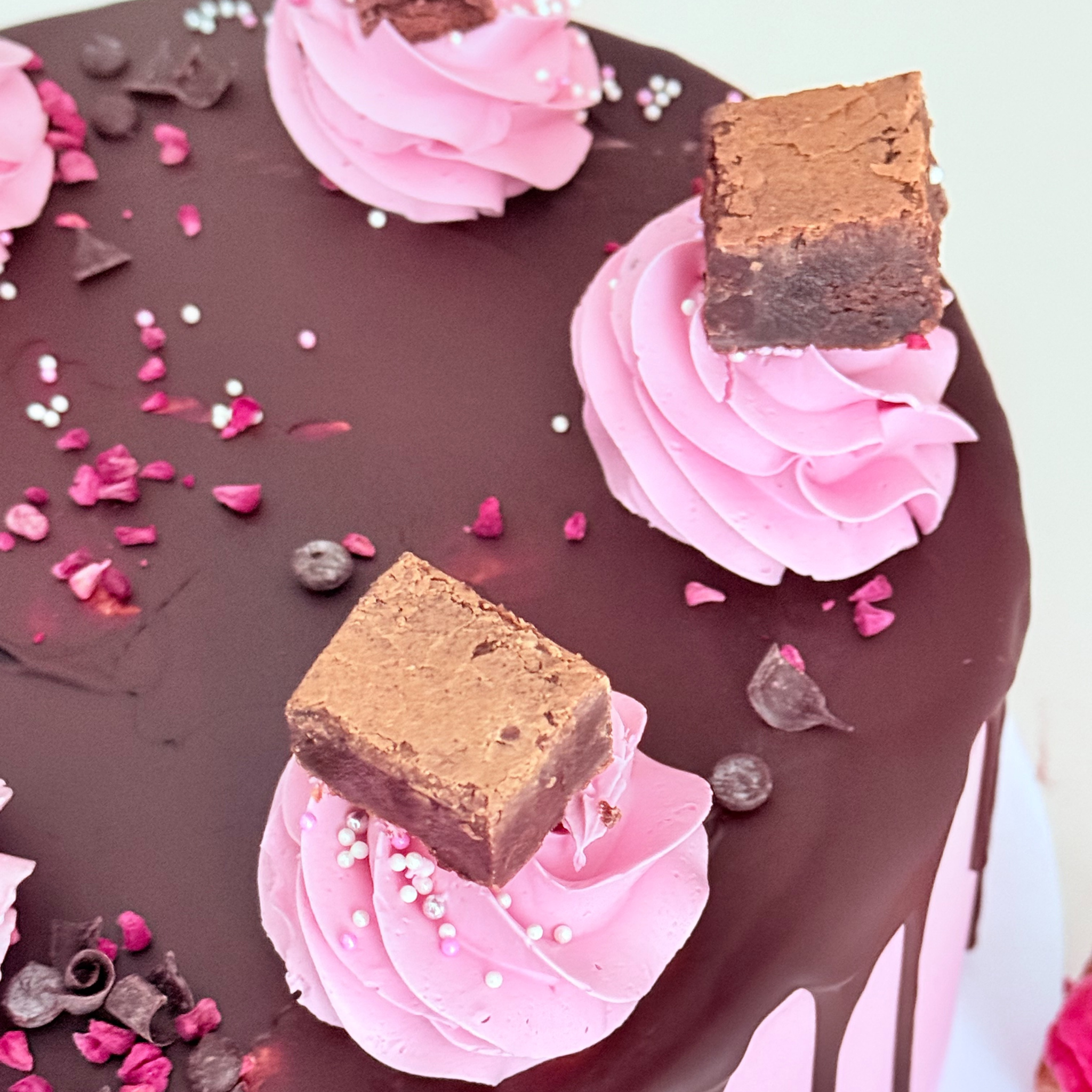 Chocolate & Raspberry Fudge Cake - Cake Choice