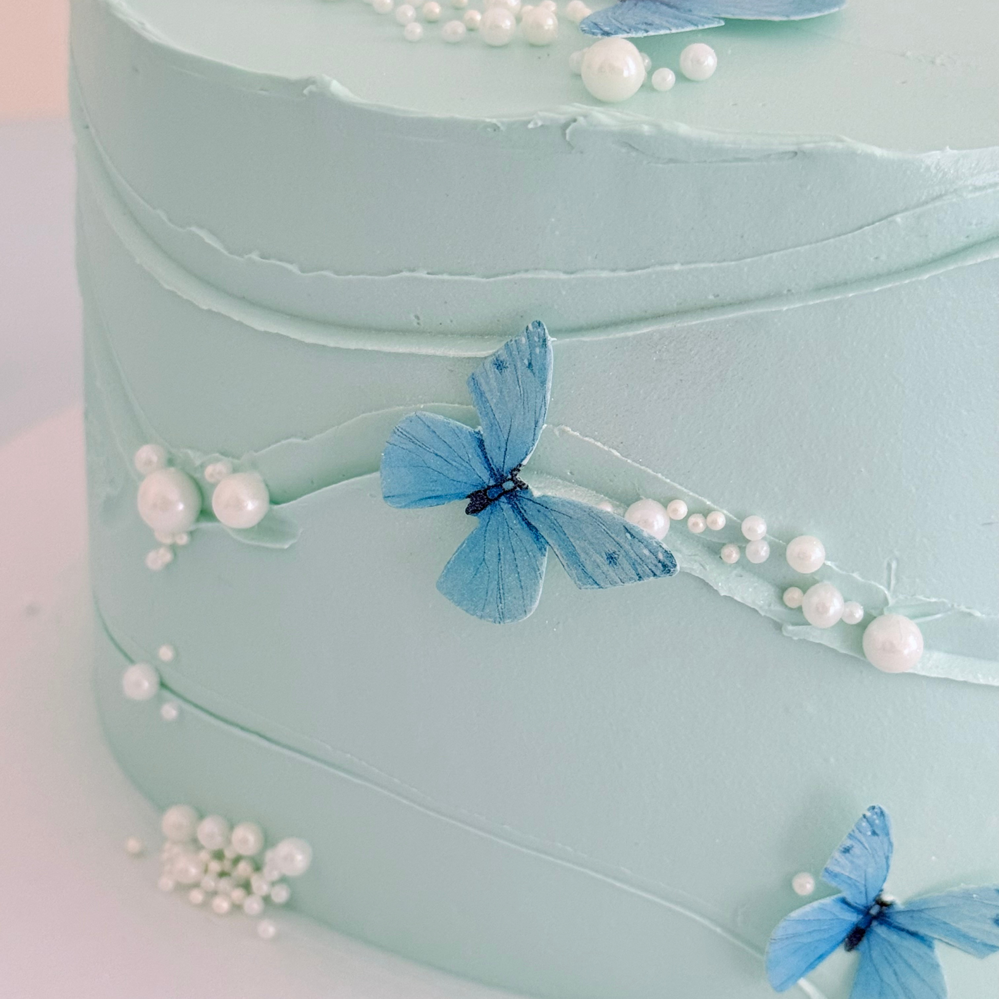Blue Butterfly Cake