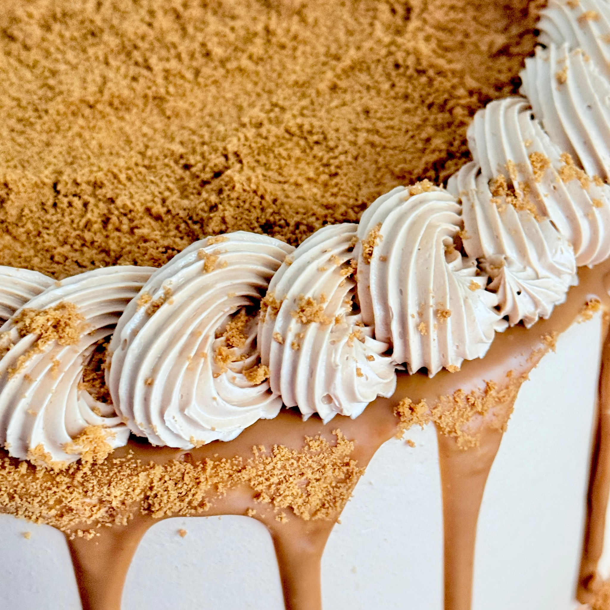 Biscoff Drip Cake - Cake Choice