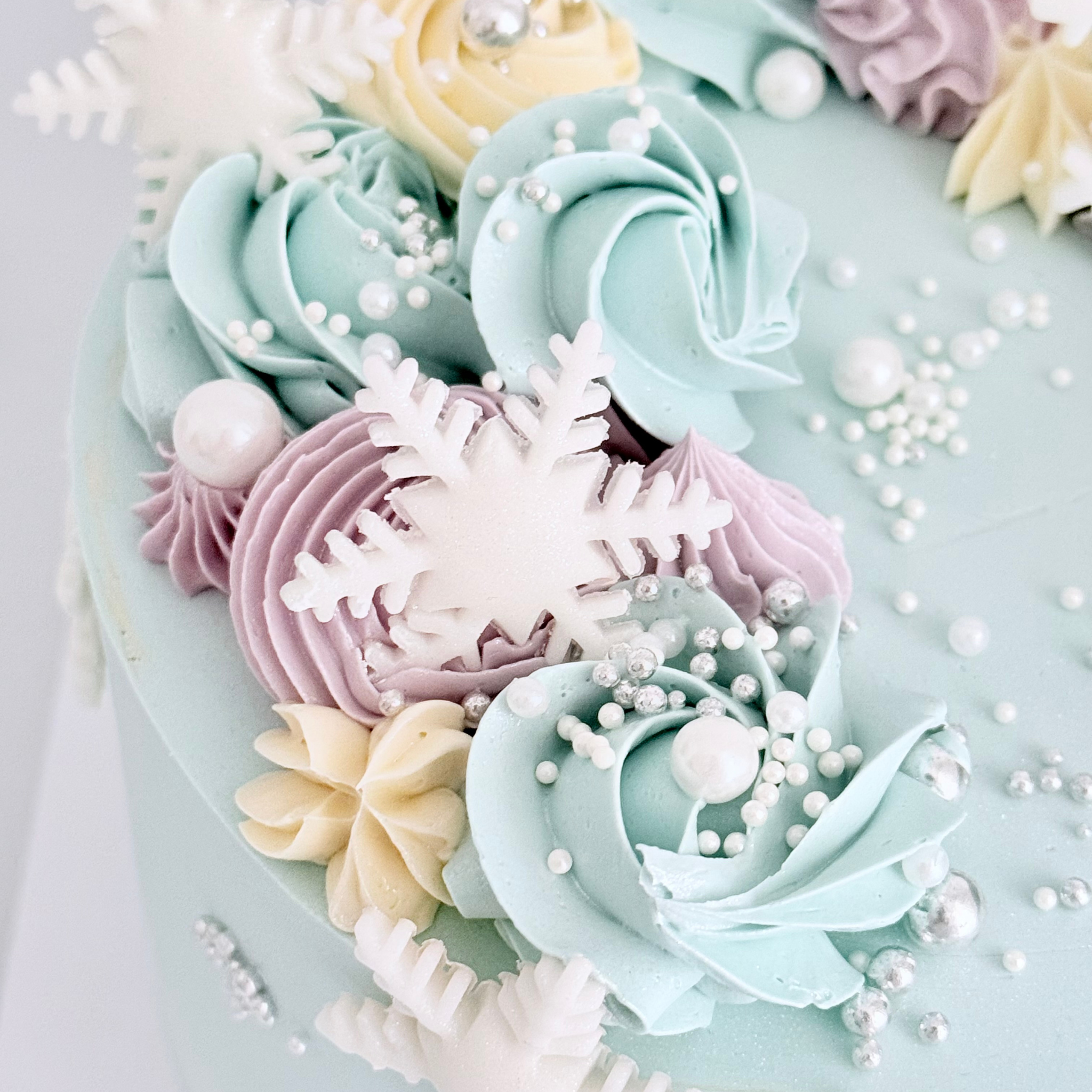 Frozen Cake - Cake Choice