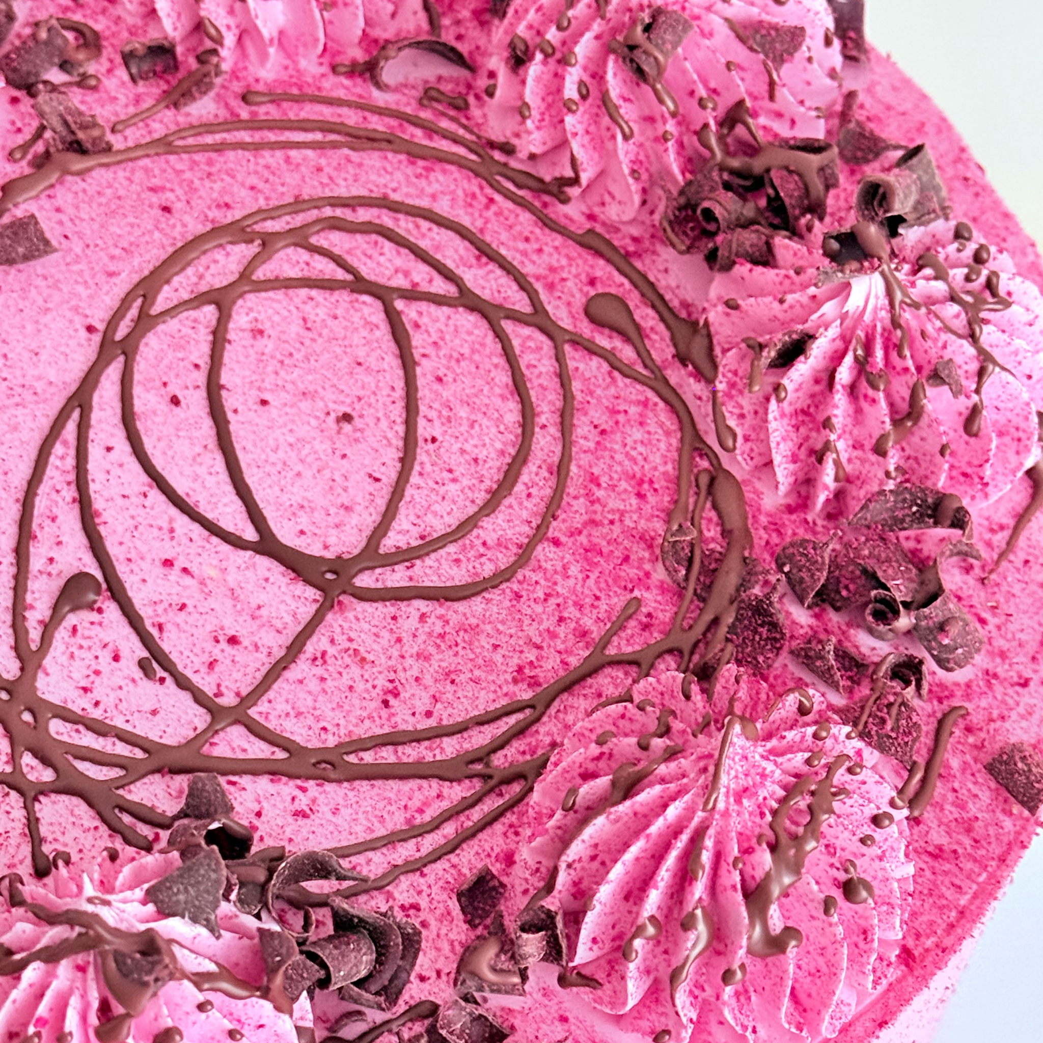 Chocolate Raspberry Cake - Cake Choice