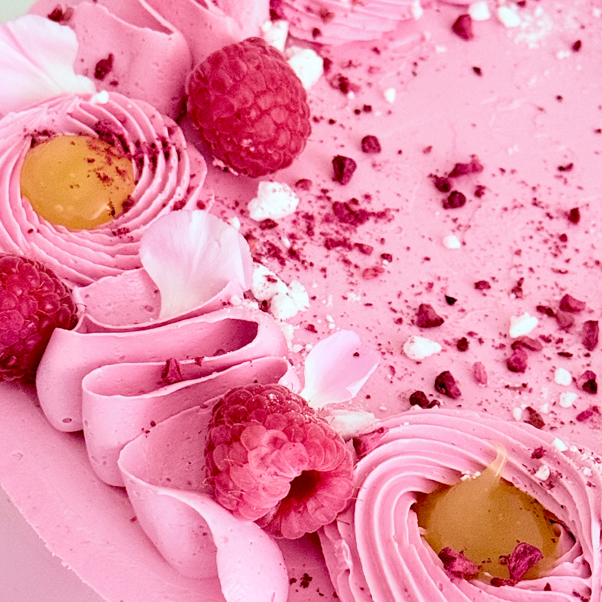 Lemon & Raspberry Cake - Cake Choice
