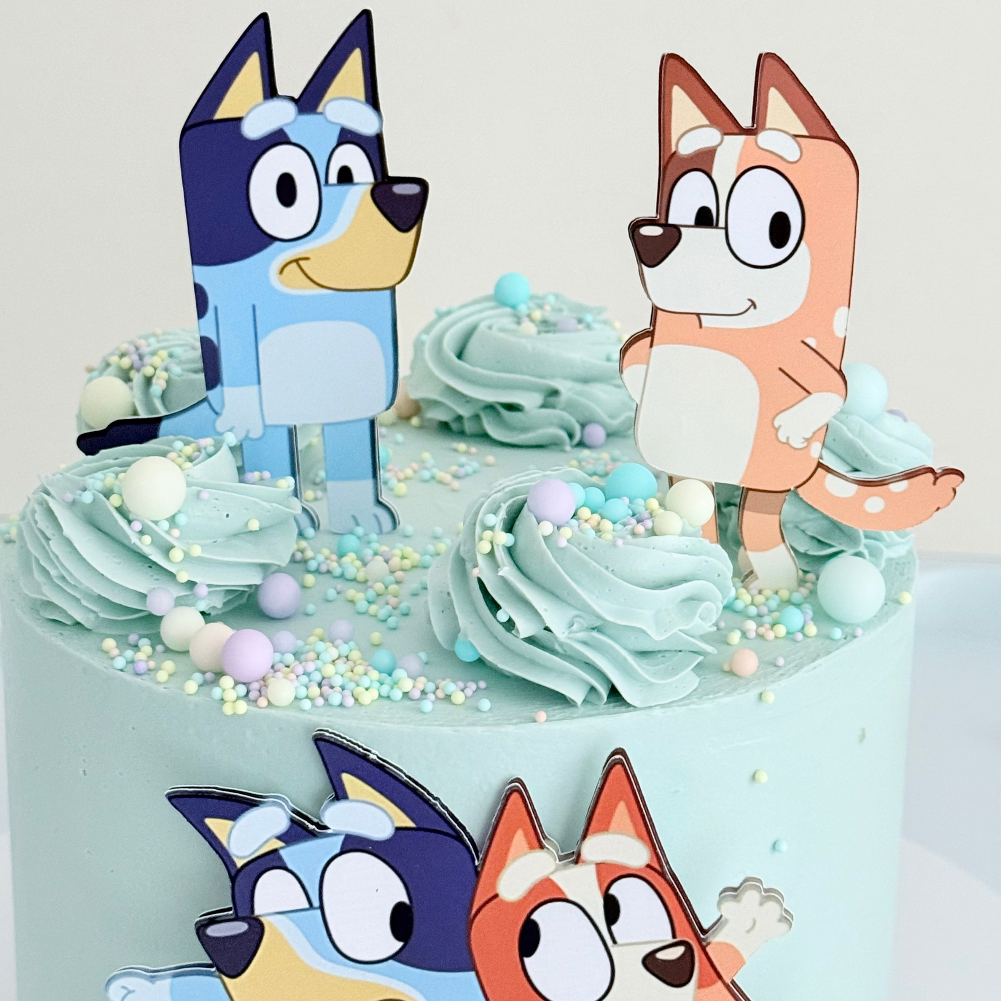 Bluey Themed Cake -  - Cake Choice