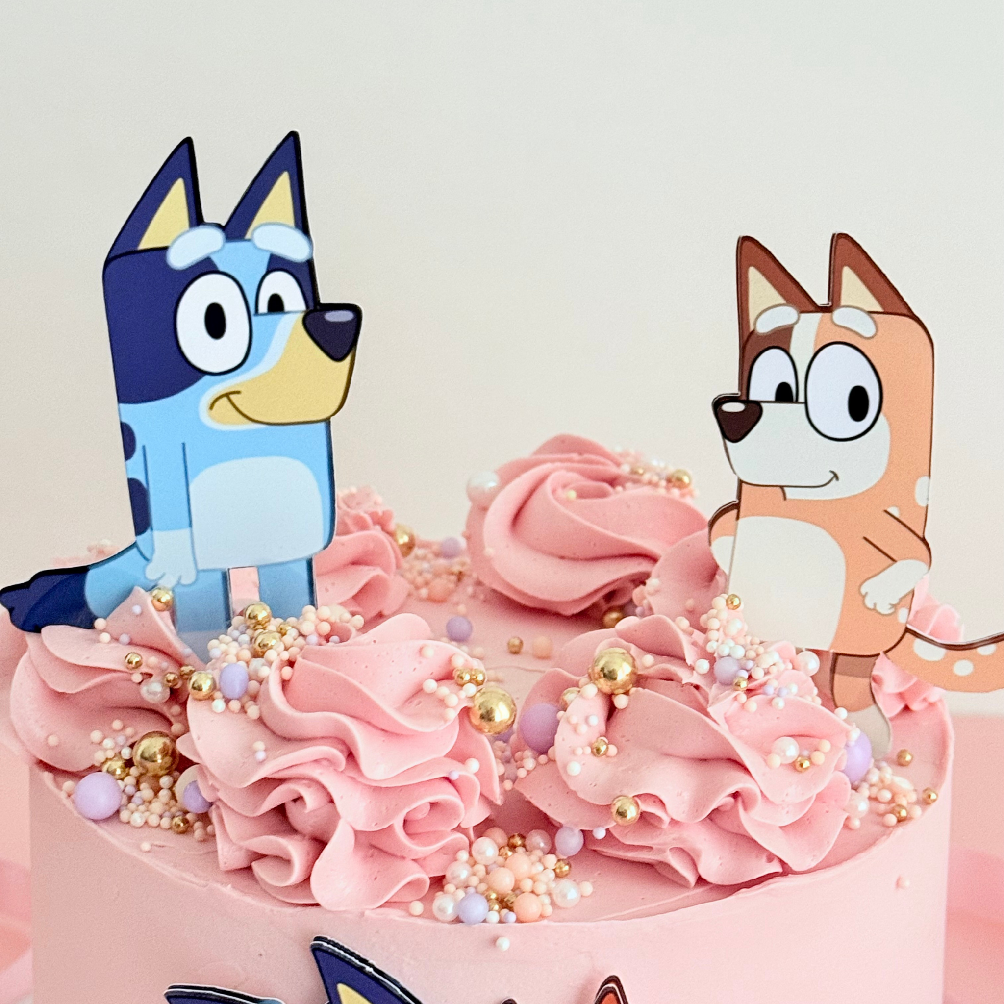 Bluey Themed Pink Cake