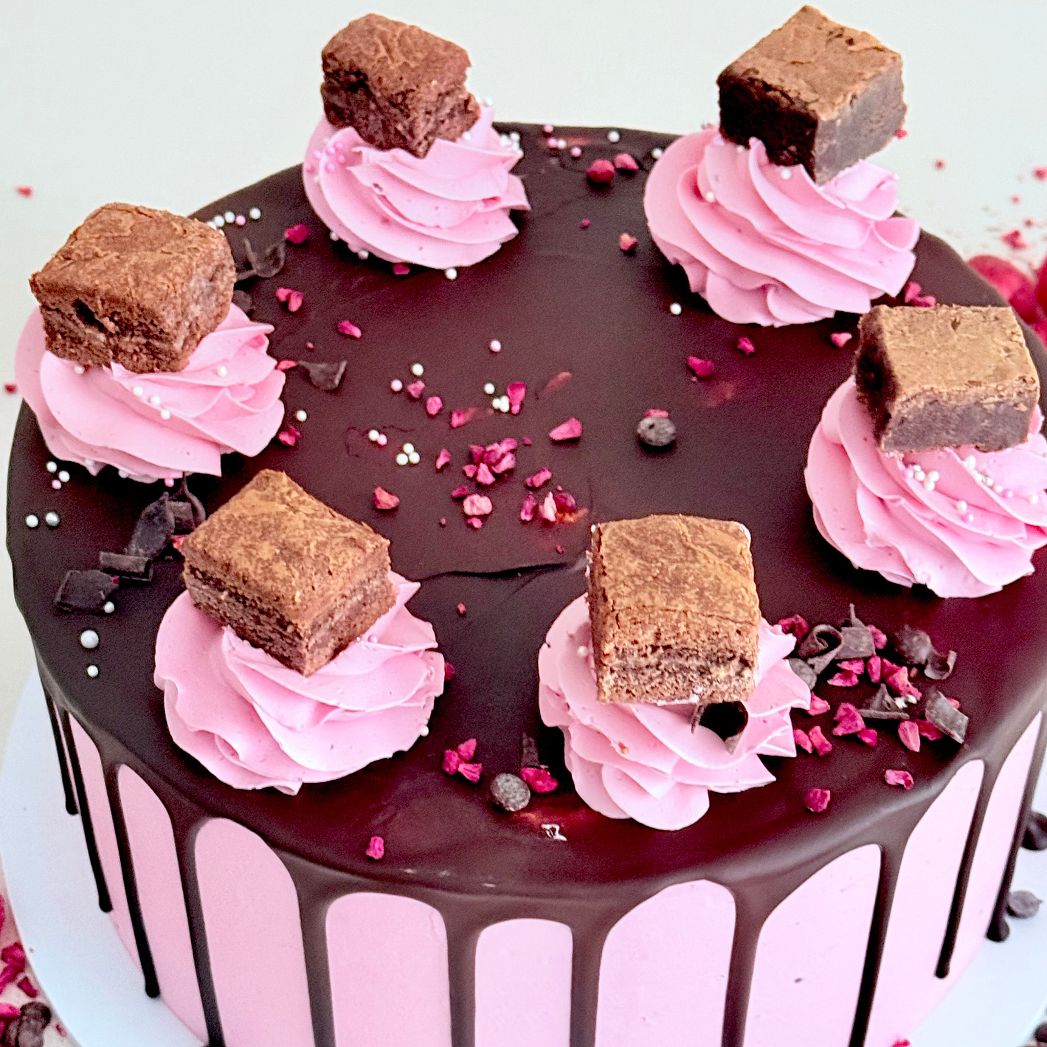 Chocolate & Raspberry Fudge Cake - Cake Choice