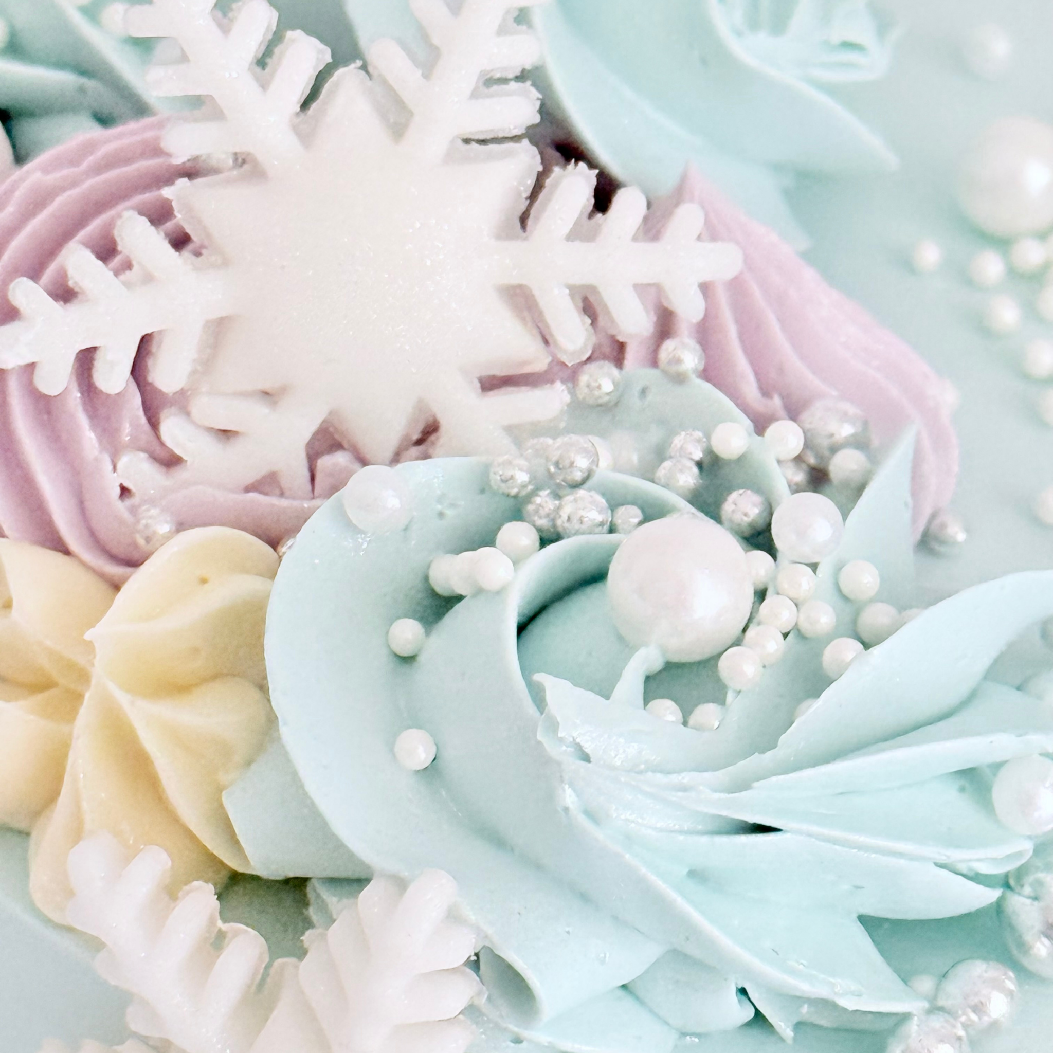 Frozen Cake - Cake Choice