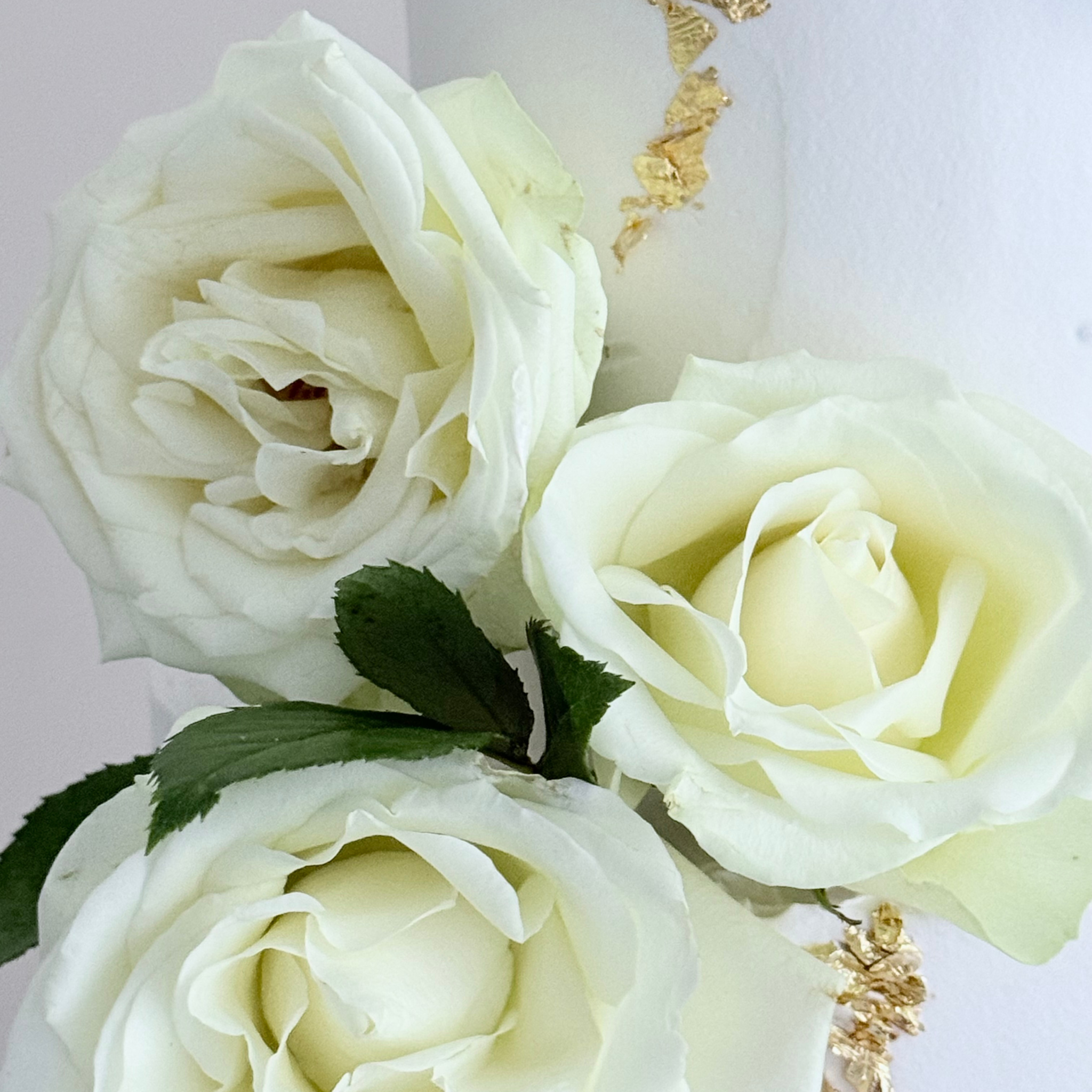 White Rose Two Tier Cake - Cake Choice